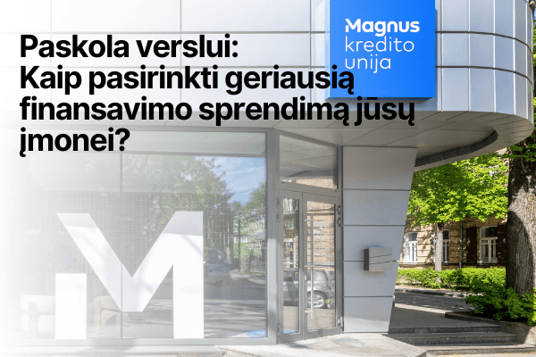 Paskola verslui: Kaip pasirinkti geriausią finansavimo sprendimą Jūsų įmonei?
